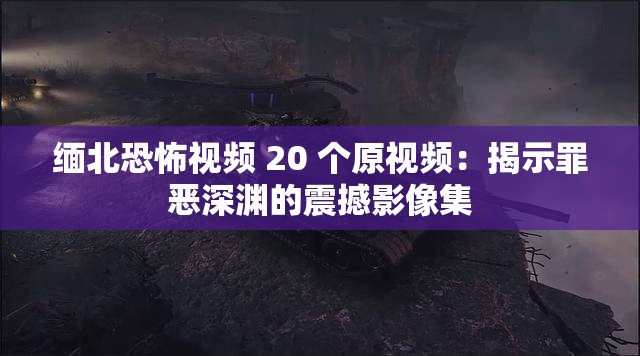 缅北恐怖视频 20 个原视频：揭示罪恶深渊的震撼影像集
