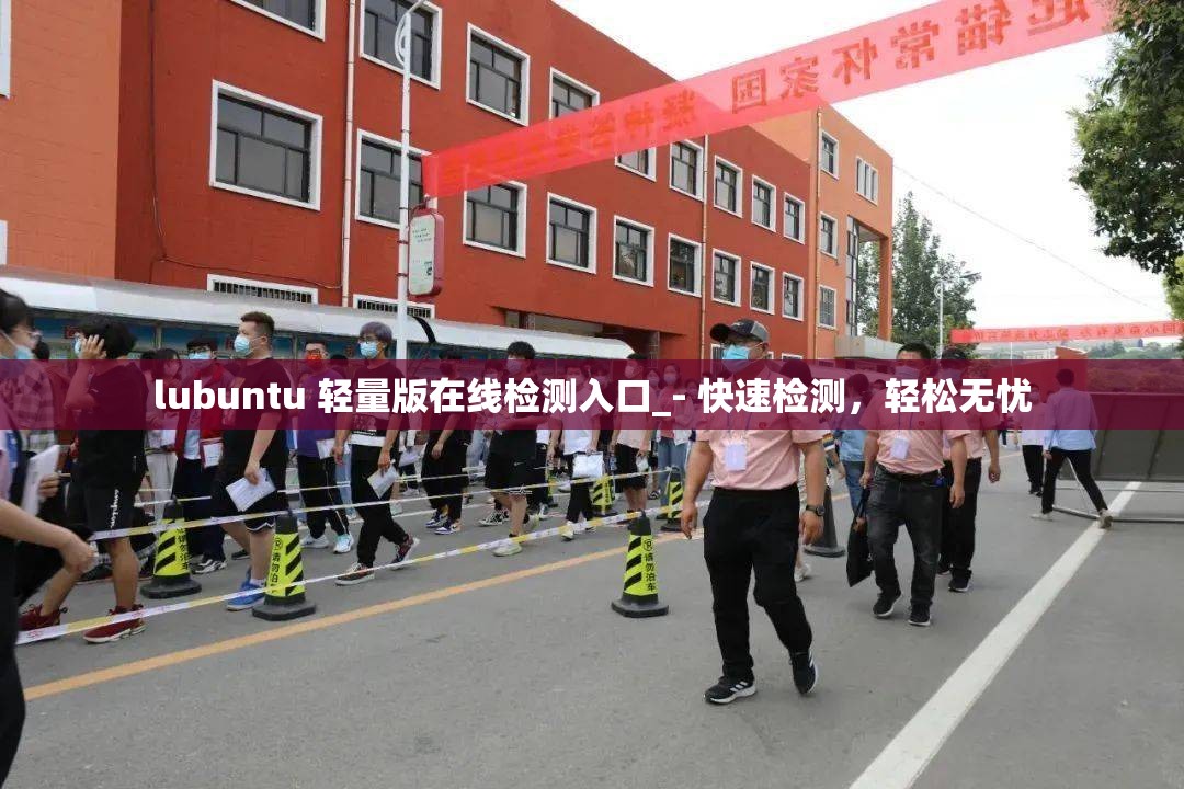 lubuntu 轻量版在线检测入口_- 快速检测，轻松无忧