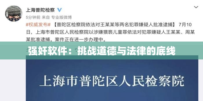 强奸软件：挑战道德与法律的底线