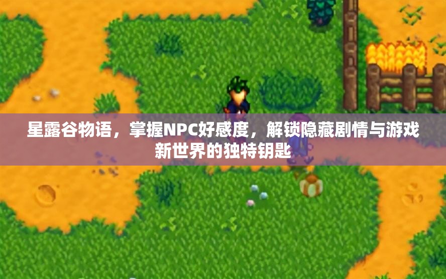 星露谷物语，掌握NPC好感度，解锁隐藏剧情与游戏新世界的独特钥匙