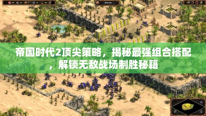 帝国时代2顶尖策略，揭秘最强组合搭配，解锁无敌战场制胜秘籍