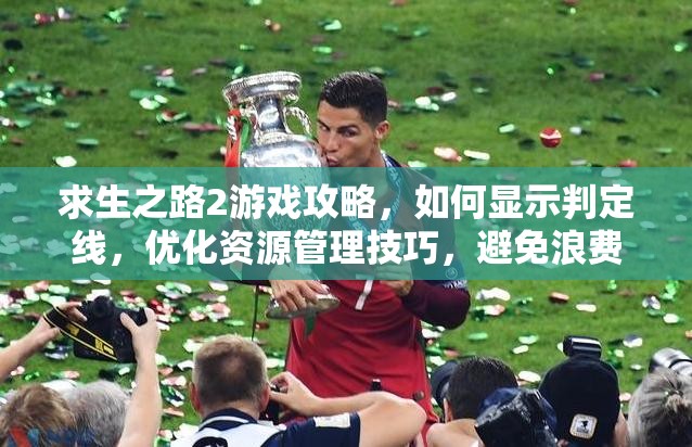 求生之路2游戏攻略，如何显示判定线，优化资源管理技巧，避免浪费并最大化游戏价值