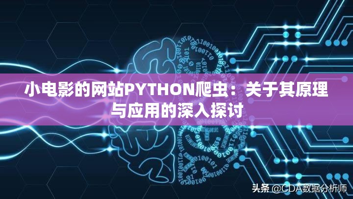 小电影的网站PYTHON爬虫：关于其原理与应用的深入探讨