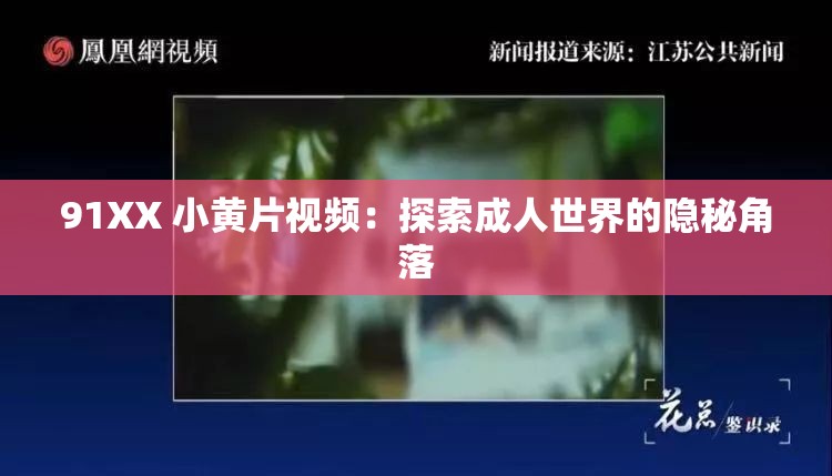 91XX 小黄片视频：探索成人世界的隐秘角落