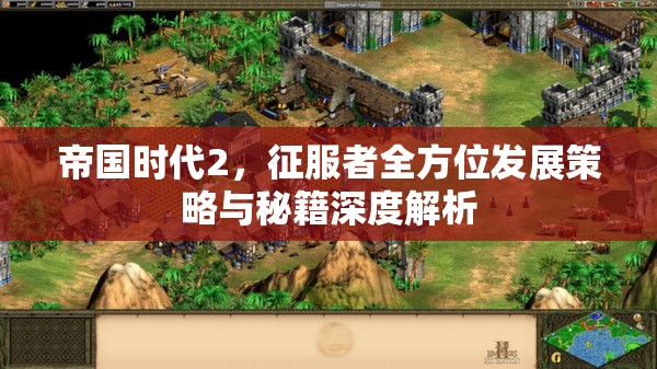 帝国时代2，征服者全方位发展策略与秘籍深度解析