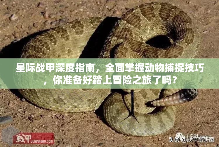 星际战甲深度指南，全面掌握动物捕捉技巧，你准备好踏上冒险之旅了吗？