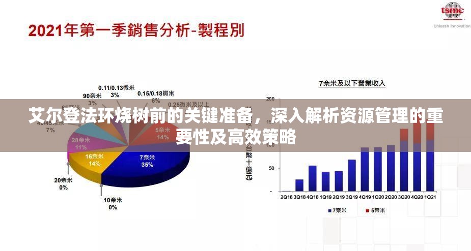 艾尔登法环烧树前的关键准备，深入解析资源管理的重要性及高效策略