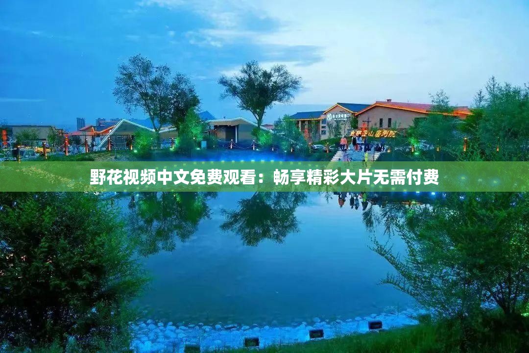 野花视频中文免费观看：畅享精彩大片无需付费