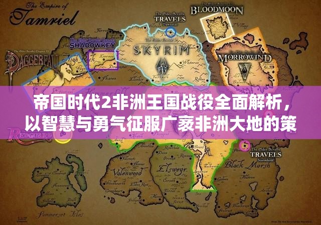 帝国时代2非洲王国战役全面解析，以智慧与勇气征服广袤非洲大地的策略指南