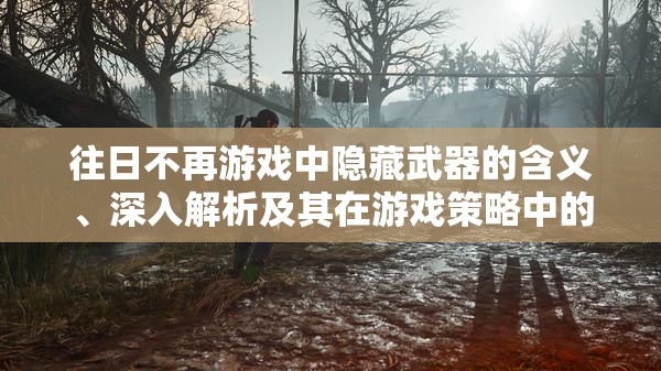 往日不再游戏中隐藏武器的含义、深入解析及其在游戏策略中的实际运用