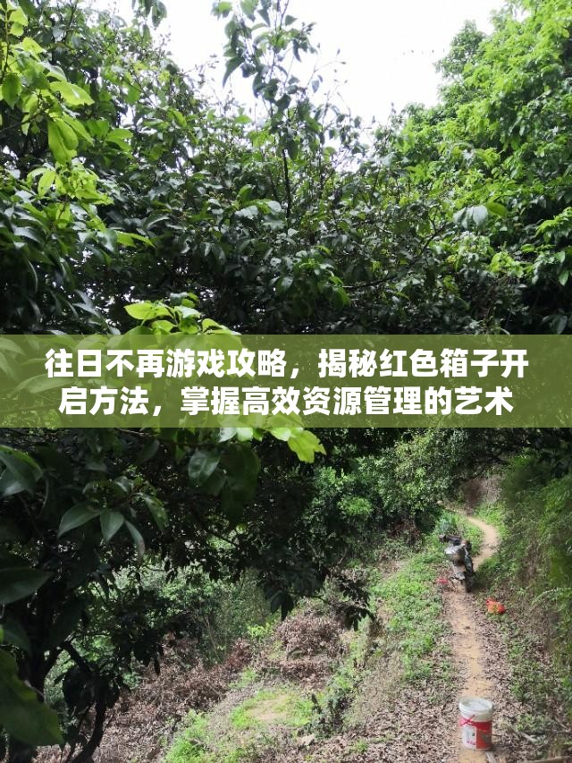 往日不再游戏攻略，揭秘红色箱子开启方法，掌握高效资源管理的艺术