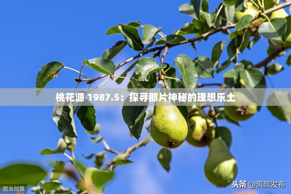 桃花源 1987.5：探寻那片神秘的理想乐土