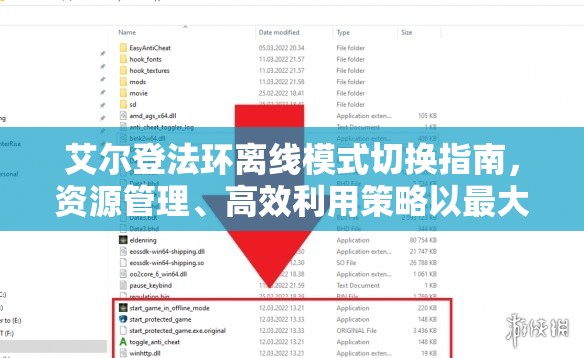 艾尔登法环离线模式切换指南，资源管理、高效利用策略以最大化游戏价值