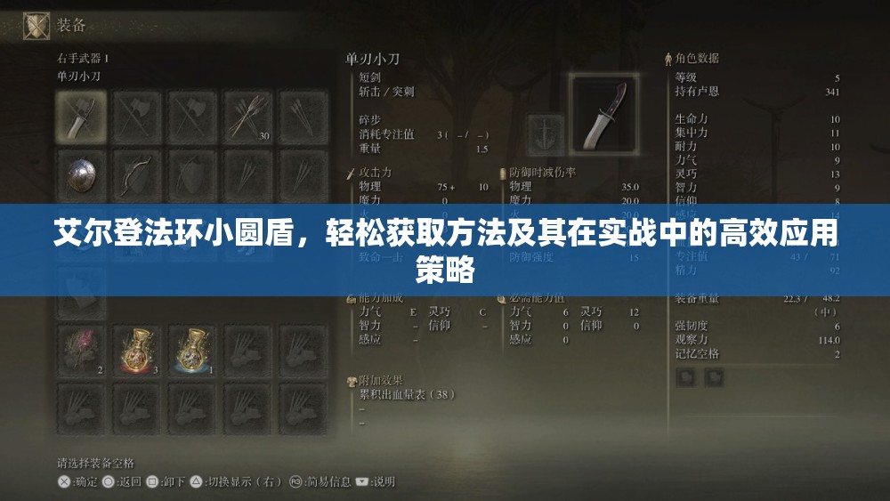 艾尔登法环小圆盾，轻松获取方法及其在实战中的高效应用策略