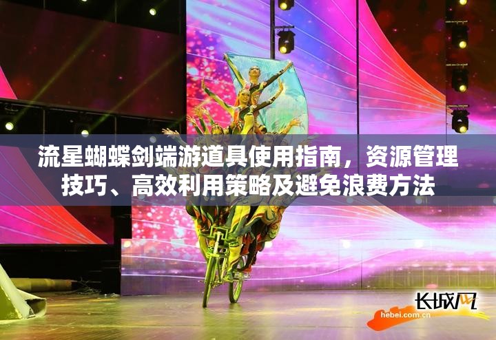 流星蝴蝶剑端游道具使用指南，资源管理技巧、高效利用策略及避免浪费方法