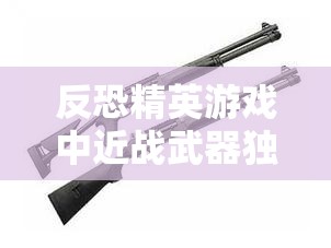 反恐精英游戏中近战武器独特技能展现非凡战斗力与魅力