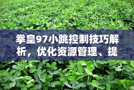 拳皇97小跳控制技巧解析，优化资源管理、提升操作技巧并避免无谓浪费