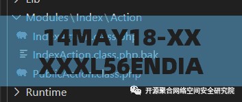 14MAY18-XXXXXL56ENDIAN2：一段神秘代码背后的未知故事