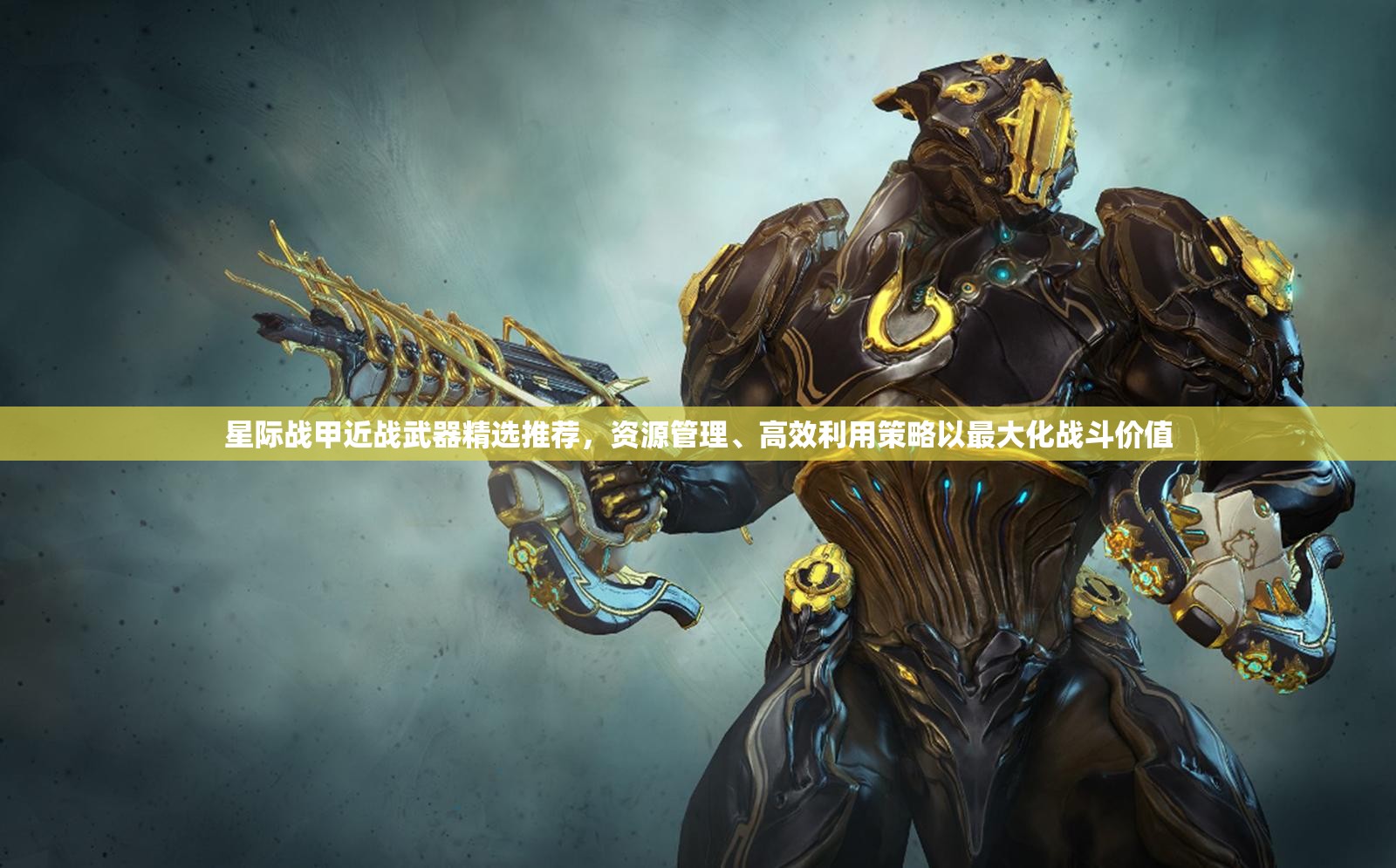星际战甲近战武器精选推荐，资源管理、高效利用策略以最大化战斗价值