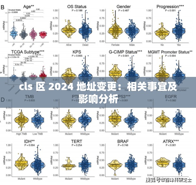 cls 区 2024 地址变更：相关事宜及影响分析