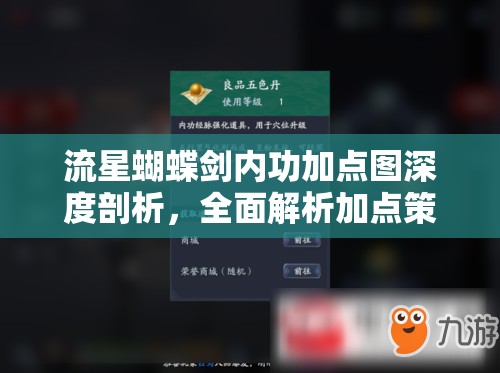 流星蝴蝶剑内功加点图深度剖析，全面解析加点策略与技巧