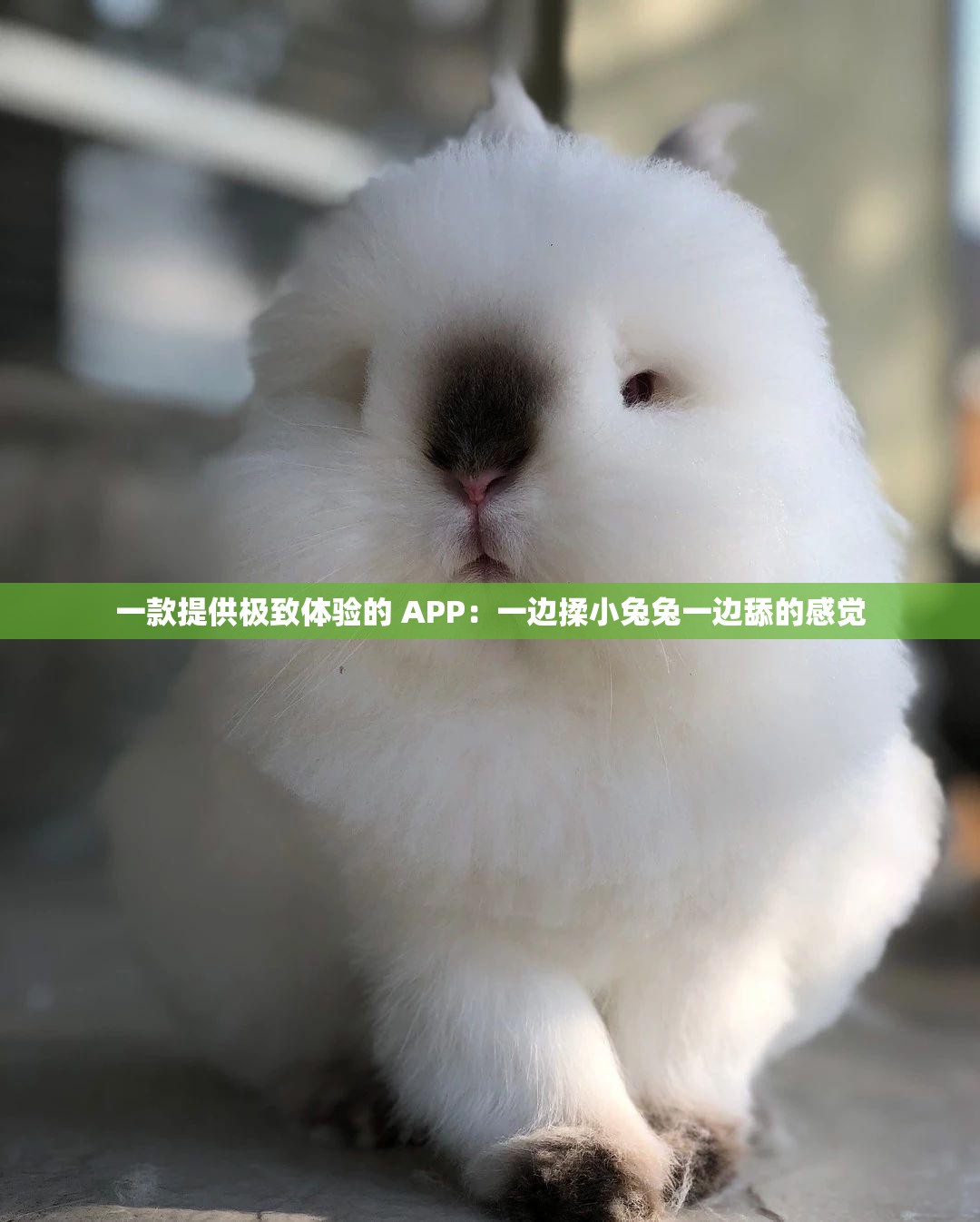 一款提供极致体验的 APP：一边揉小兔兔一边舔的感觉