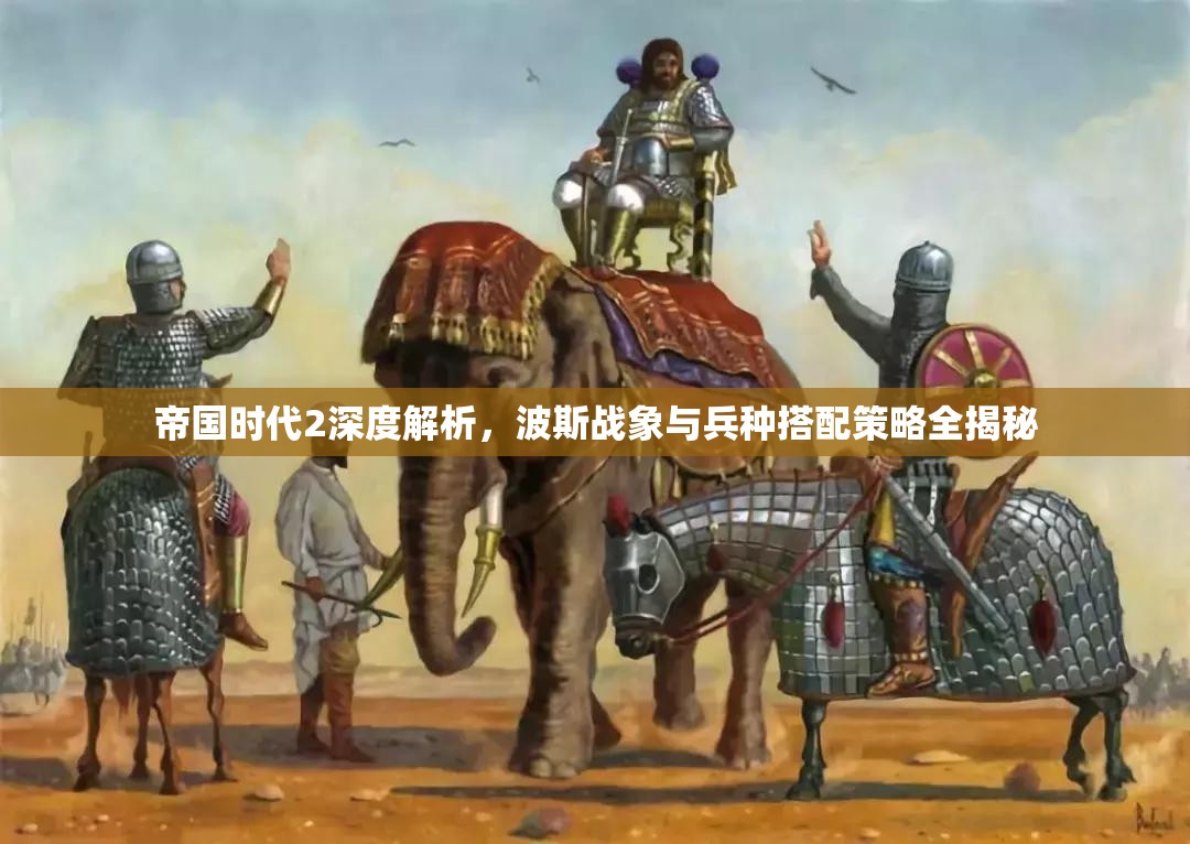帝国时代2深度解析，波斯战象与兵种搭配策略全揭秘