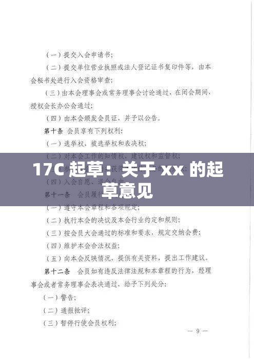 17C 起草：关于 xx 的起草意见