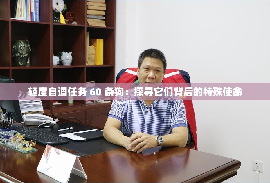 轻度自调任务 60 条狗：探寻它们背后的特殊使命
