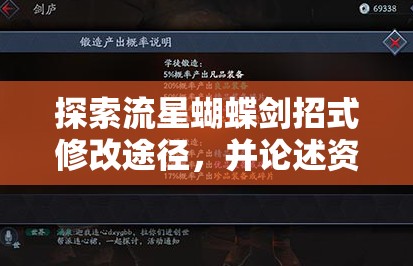 探索流星蝴蝶剑招式修改途径，并论述资源管理的重要性及实施高效策略