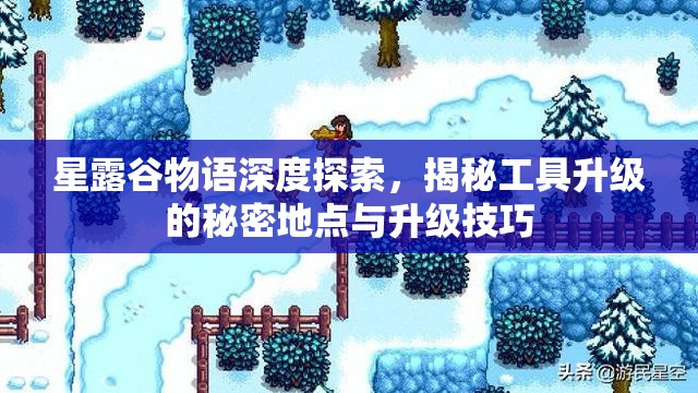 星露谷物语深度探索，揭秘工具升级的秘密地点与升级技巧