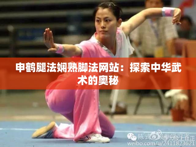 申鹤腿法娴熟脚法网站：探索中华武术的奥秘