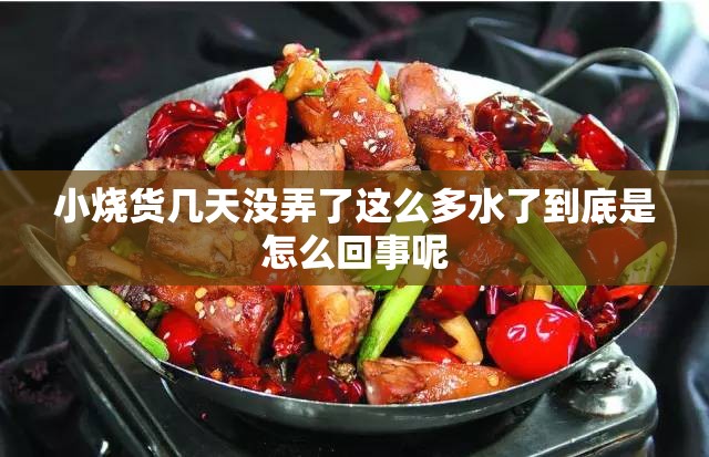 小烧货几天没弄了这么多水了到底是怎么回事呢