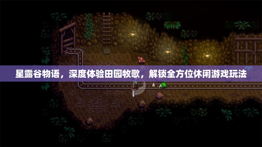 星露谷物语，深度体验田园牧歌，解锁全方位休闲游戏玩法