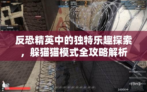反恐精英中的独特乐趣探索，躲猫猫模式全攻略解析
