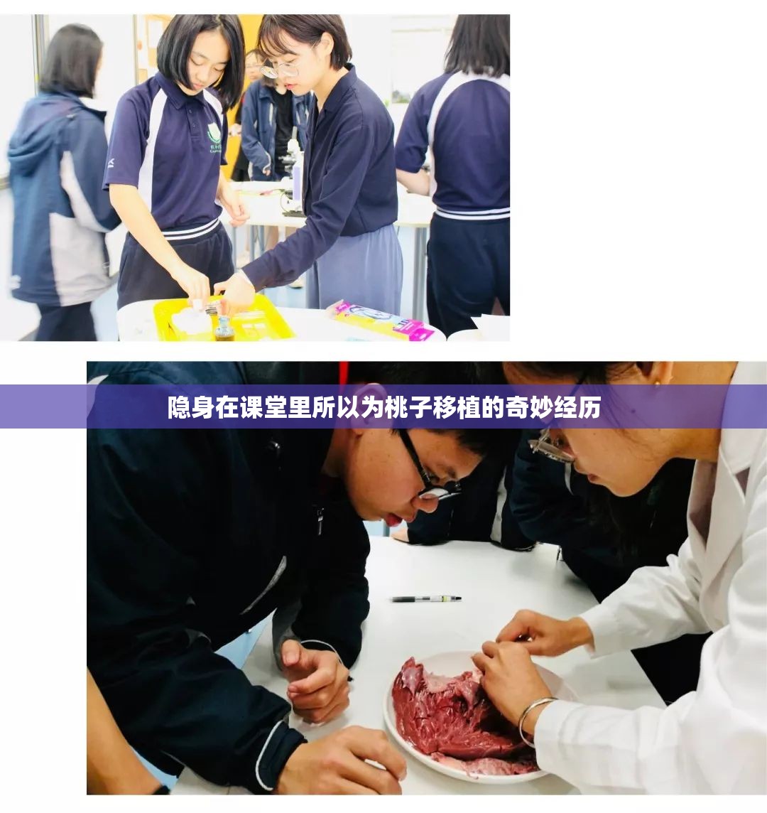 隐身在课堂里所以为桃子移植的奇妙经历