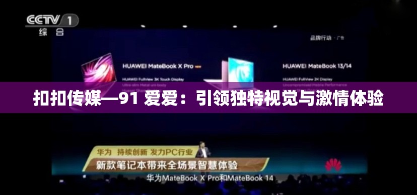 扣扣传媒—91 爱爱：引领独特视觉与激情体验