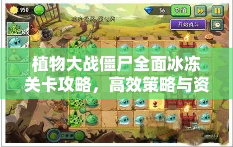 植物大战僵尸全面冰冻关卡攻略，高效策略与资源管理技巧解析