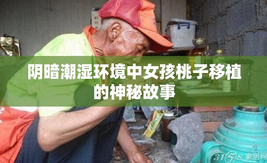 阴暗潮湿环境中女孩桃子移植的神秘故事