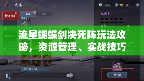 流星蝴蝶剑决死阵玩法攻略，资源管理、实战技巧与避免资源浪费的全面策略