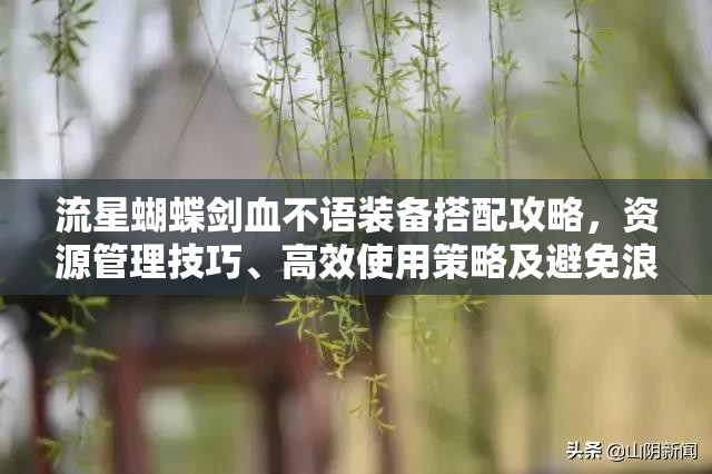 流星蝴蝶剑血不语装备搭配攻略，资源管理技巧、高效使用策略及避免浪费方法
