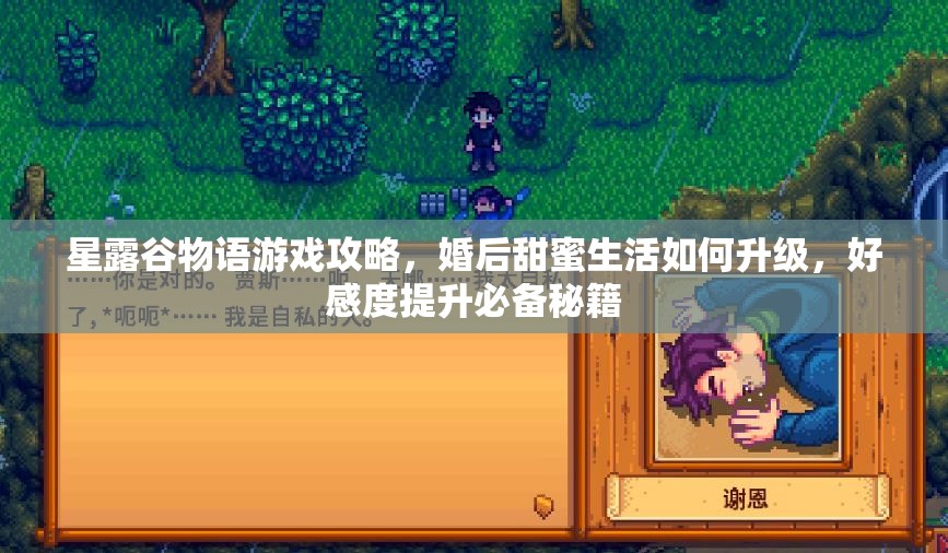 星露谷物语游戏攻略，婚后甜蜜生活如何升级，好感度提升必备秘籍