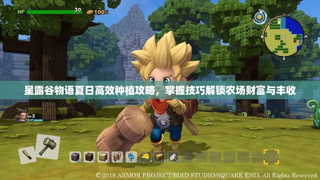 星露谷物语夏日高效种植攻略，掌握技巧解锁农场财富与丰收