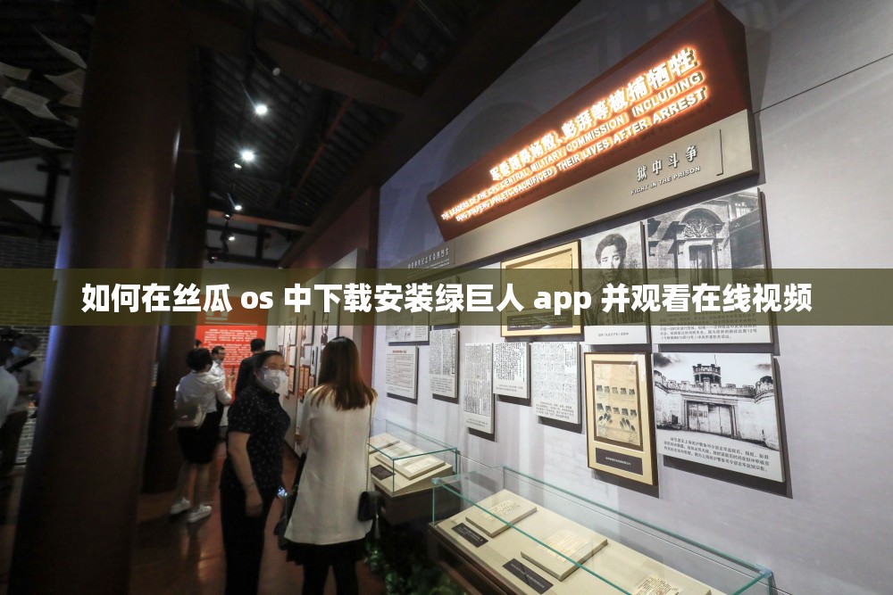 如何在丝瓜 os 中下载安装绿巨人 app 并观看在线视频