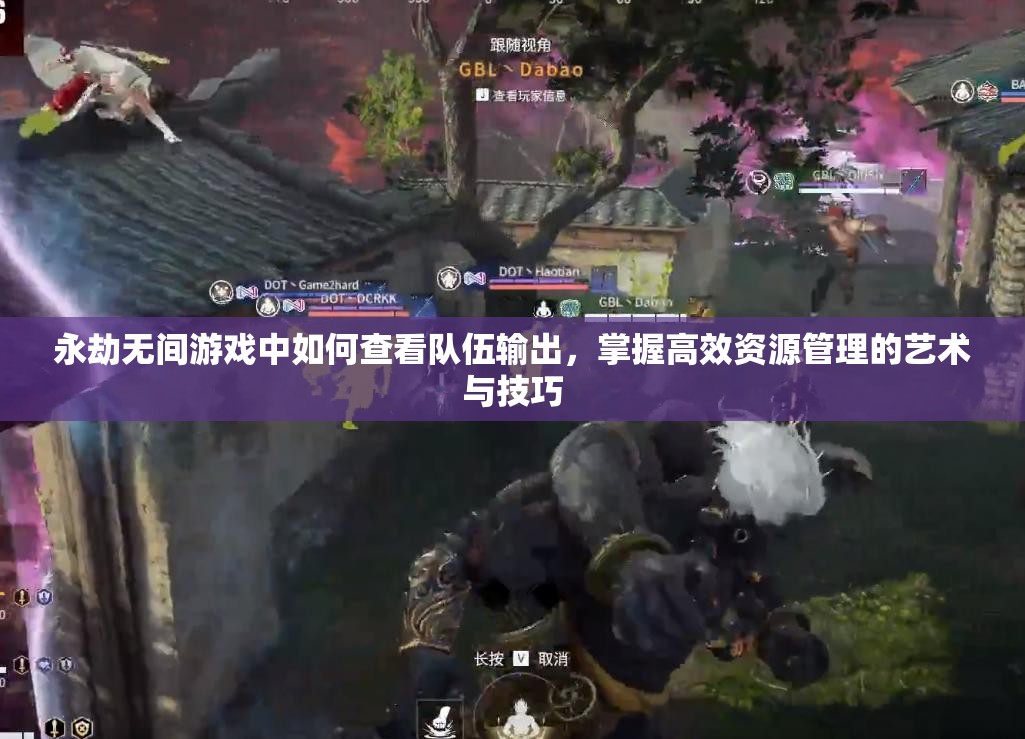 永劫无间游戏中如何查看队伍输出，掌握高效资源管理的艺术与技巧