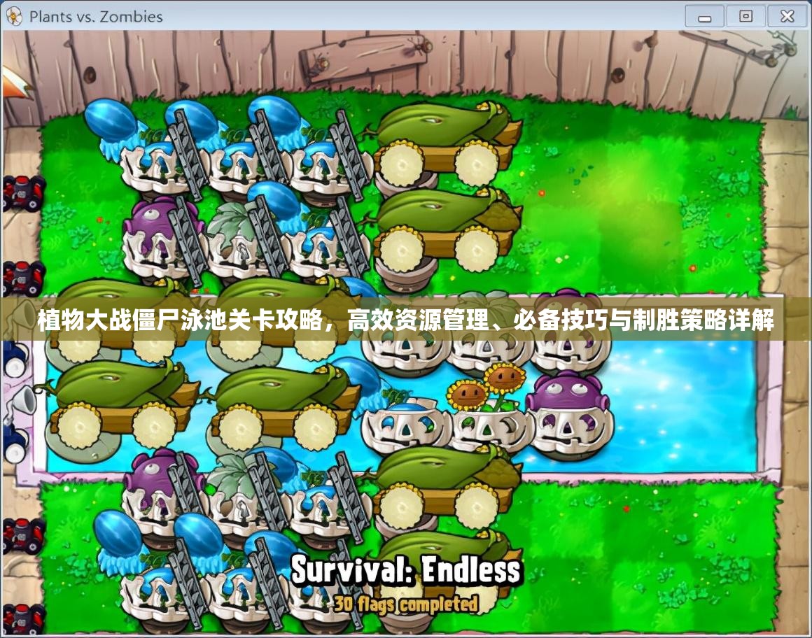 植物大战僵尸泳池关卡攻略，高效资源管理、必备技巧与制胜策略详解