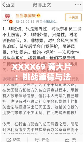 XXXX69 黄大片：挑战道德与法律的极限