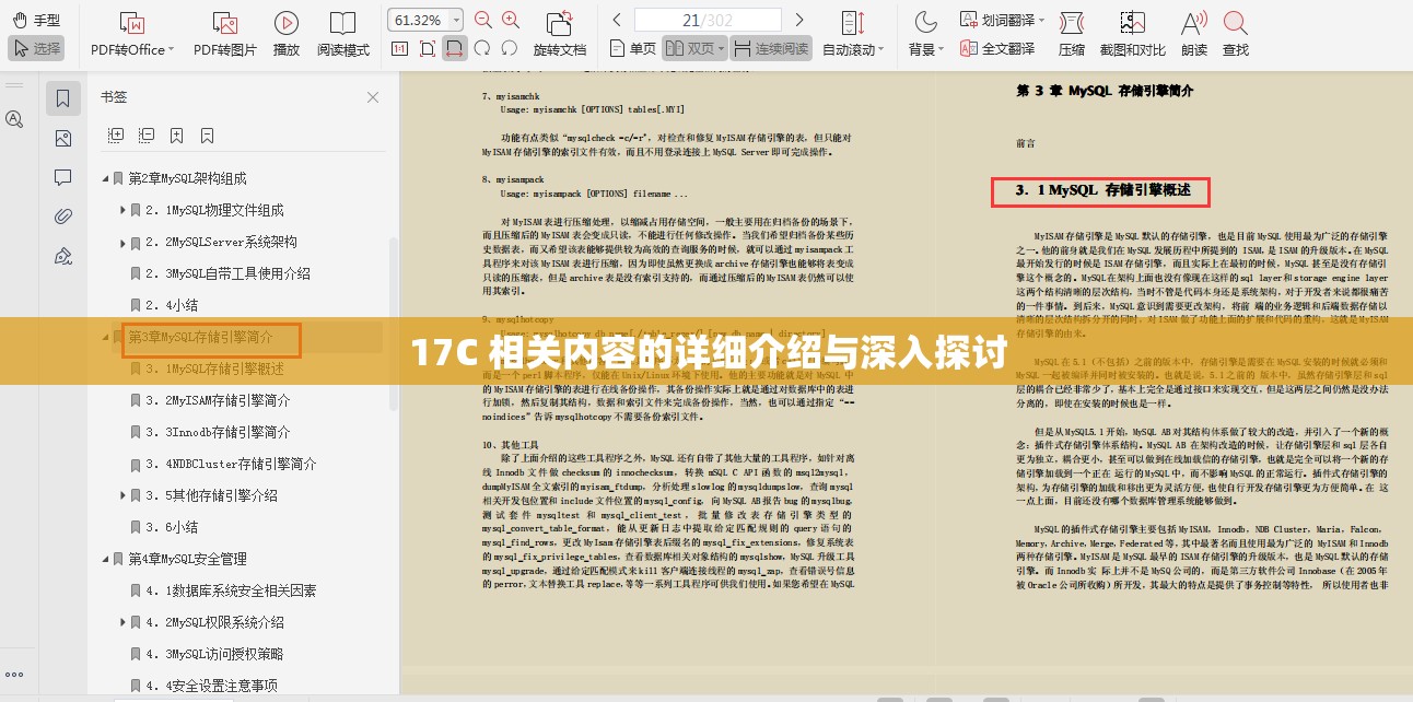 17C 相关内容的详细介绍与深入探讨