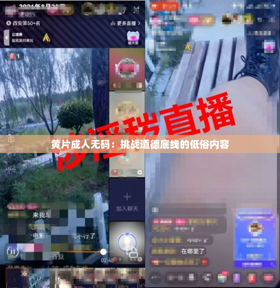 黄片成人无码：挑战道德底线的低俗内容