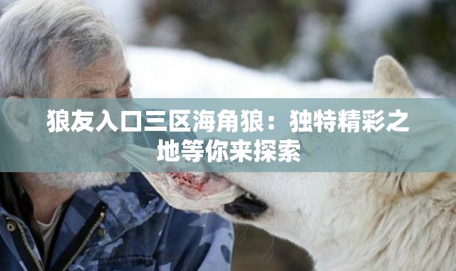 狼友入口三区海角狼：独特精彩之地等你来探索